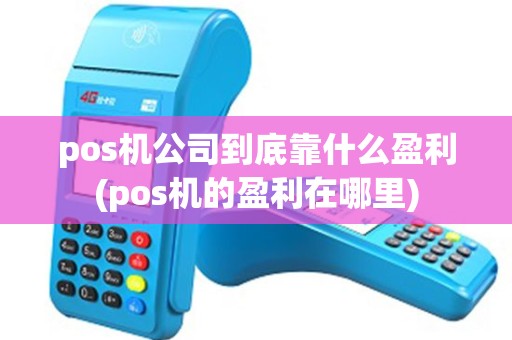 pos机公司到底靠什么盈利(pos机的盈利在哪里) pos机公司到底靠什么盈利(pos机的盈利在哪里)