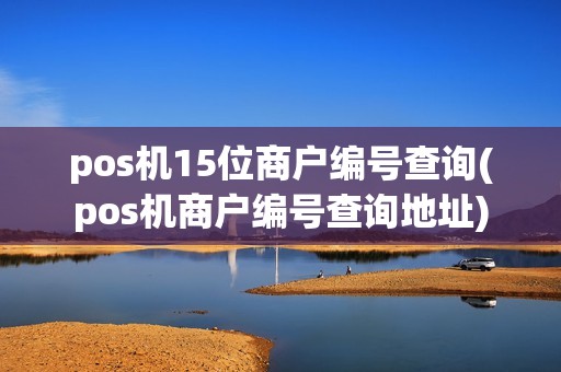 pos机15位商户编号查询(pos机商户编号查询地址) pos机15位商户编号查询(pos机商户编号查询地址)