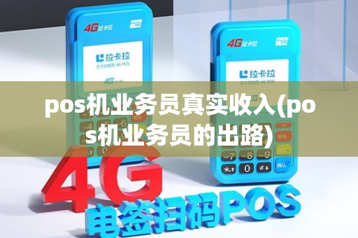 pos机业务员真实收入(pos机业务员的出路) pos机业务员真实收入(pos机业务员的出路)