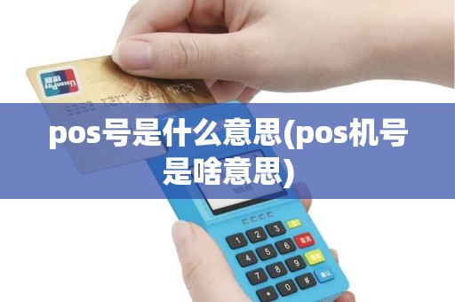 pos号是什么意思(pos机号是啥意思) pos号是什么意思(pos机号是啥意思)