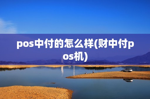 pos中付的怎么样(财中付pos机)