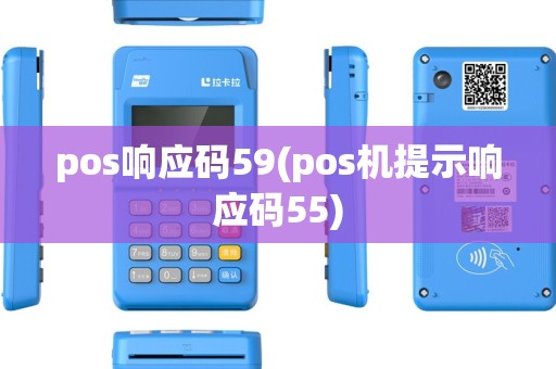 pos响应码59(pos机提示响应码55) pos响应码59(pos机提示响应码55)