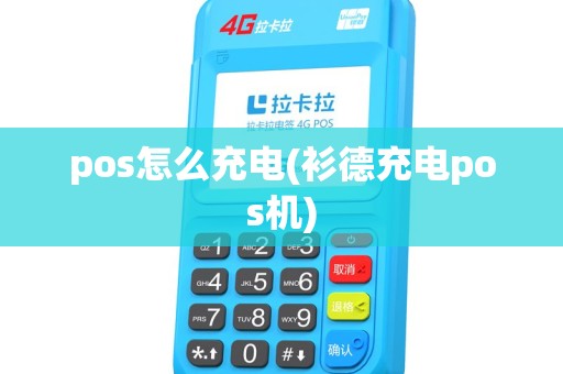 pos怎么充电(衫德充电pos机) pos怎么充电(衫德充电pos机)