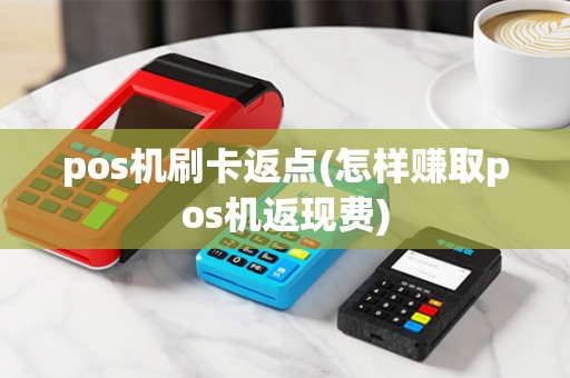 pos机刷卡返点(怎样赚取pos机返现费)