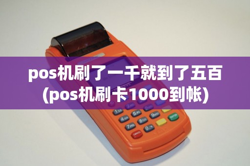 pos机刷了一千就到了五百(pos机刷卡1000到帐) pos机刷了一千就到了五百(pos机刷卡1000到帐)