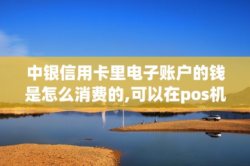 中银信用卡里电子账户的钱是怎么消费的,可以在pos机上刷...