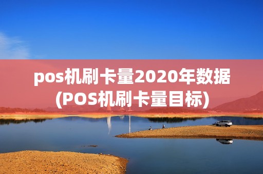 pos机刷卡量2020年数据(POS机刷卡量目标)