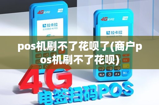 pos机刷不了花呗了(商户pos机刷不了花呗)