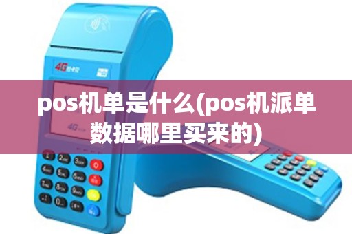 pos机单是什么(pos机派单数据哪里买来的)