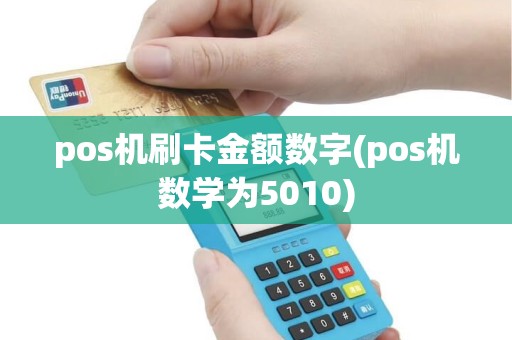 pos机刷卡金额数字(pos机数学为5010) pos机刷卡金额数字(pos机数学为5010)
