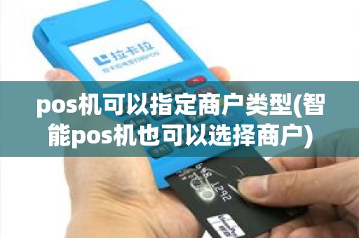 pos机可以指定商户类型(智能pos机也可以选择商户)