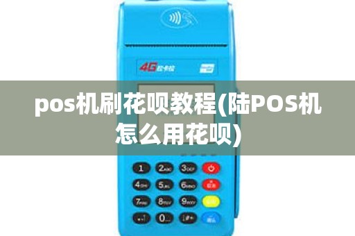 pos机刷花呗教程(陆POS机怎么用花呗)