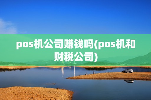 pos机公司赚钱吗(pos机和财税公司)
