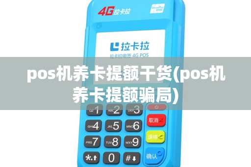 pos机养卡提额干货(pos机养卡提额骗局)