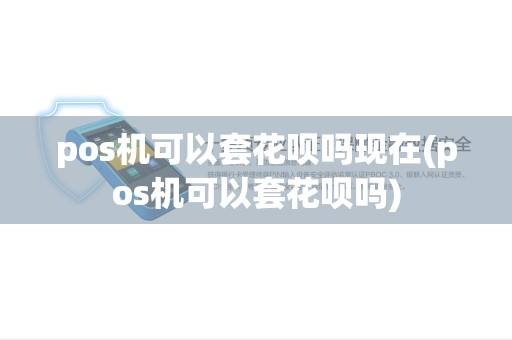 pos机可以套花呗吗现在(pos机可以套花呗吗)