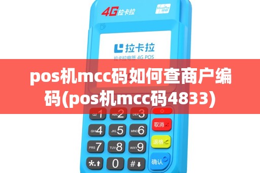 pos机mcc码如何查商户编码(pos机mcc码4833)