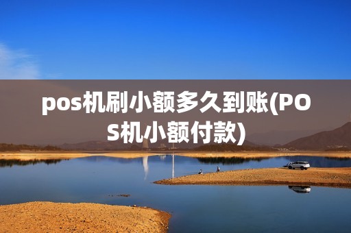 pos机刷小额多久到账(POS机小额付款)