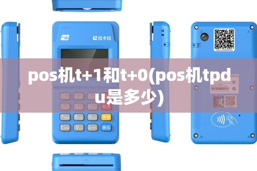 pos机t+1和t+0(pos机tpdu是多少) pos机t+1和t+0(pos机tpdu是多少)