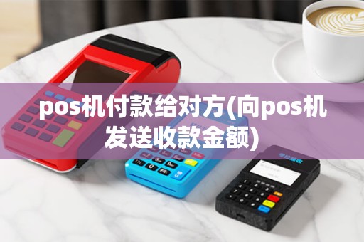 pos机付款给对方(向pos机发送收款金额)