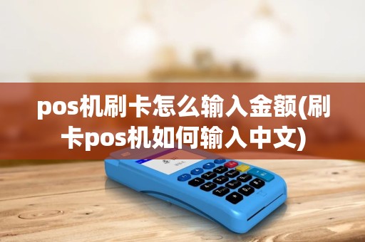 pos机刷卡怎么输入金额(刷卡pos机如何输入中文)