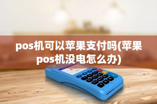 pos机可以苹果支付吗(苹果pos机没电怎么办)