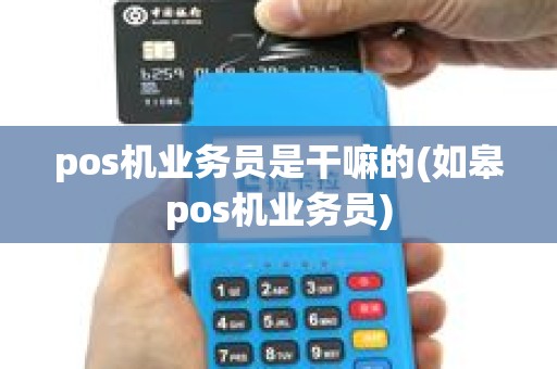 pos机业务员是干嘛的(如皋pos机业务员)