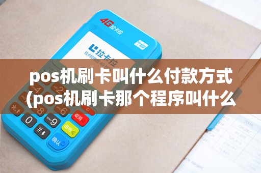 pos机刷卡叫什么付款方式(pos机刷卡那个程序叫什么)