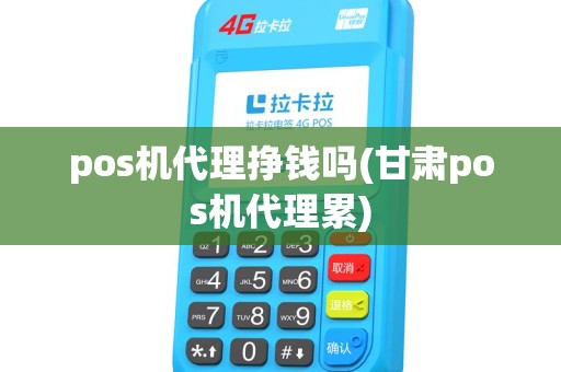 pos机代理挣钱吗(甘肃pos机代理累)