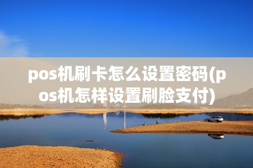 pos机刷卡怎么设置密码(pos机怎样设置刷脸支付)
