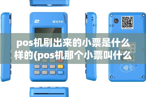 pos机刷出来的小票是什么样的(pos机那个小票叫什么)