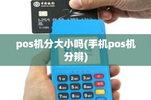 pos机分大小吗(手机pos机分辨)