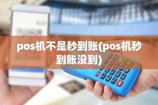 pos机不是秒到账(pos机秒到账没到) pos机不是秒到账(pos机秒到账没到)