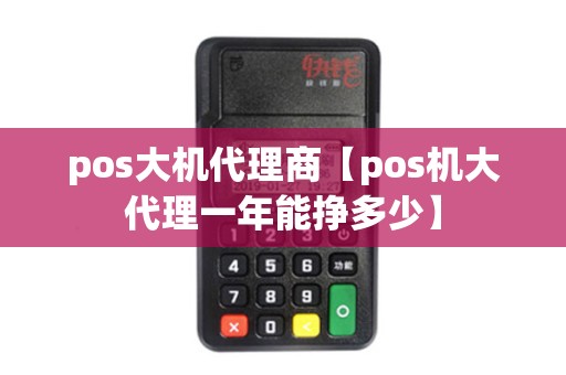 pos大机代理商【pos机大代理一年能挣多少】