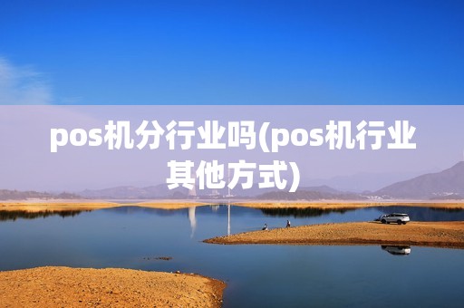pos机分行业吗(pos机行业其他方式)