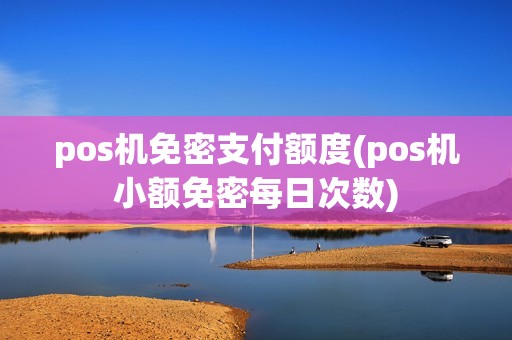 pos机免密支付额度(pos机小额免密每日次数)