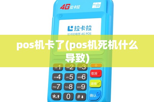 pos机卡了(pos机死机什么导致)