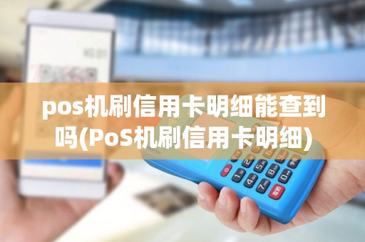 pos机刷信用卡明细能查到吗(PoS机刷信用卡明细)
