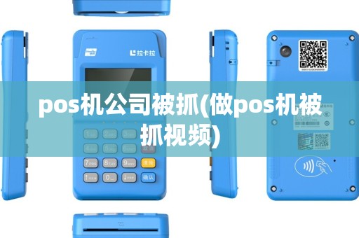 pos机公司被抓(做pos机被抓视频)