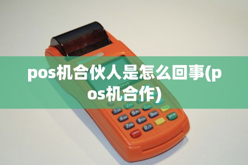 pos机合伙人是怎么回事(pos机合作) pos机合伙人是怎么回事(pos机合作)