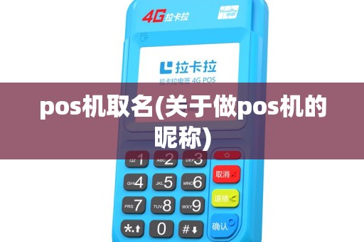 pos机取名(关于做pos机的昵称) pos机取名(关于做pos机的昵称)