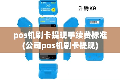 pos机刷卡提现手续费标准(公司pos机刷卡提现) pos机刷卡提现手续费标准(公司pos机刷卡提现)