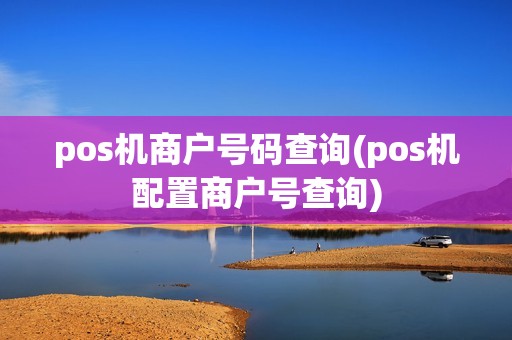 pos机商户号码查询(pos机配置商户号查询) pos机商户号码查询(pos机配置商户号查询)