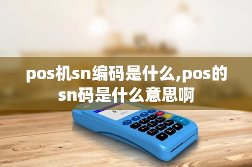 pos机sn编码是什么,pos的sn码是什么意思啊