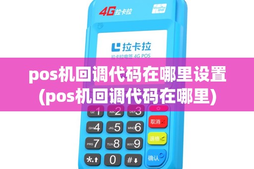 pos机回调代码在哪里设置(pos机回调代码在哪里) pos机回调代码在哪里设置(pos机回调代码在哪里)