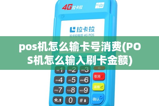 pos机怎么输卡号消费(POS机怎么输入刷卡金额) pos机怎么输卡号消费(POS机怎么输入刷卡金额)