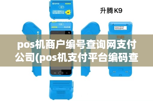 pos机商户编号查询网支付公司(pos机支付平台编码查询) pos机商户编号查询网支付公司(pos机支付平台编码查询)