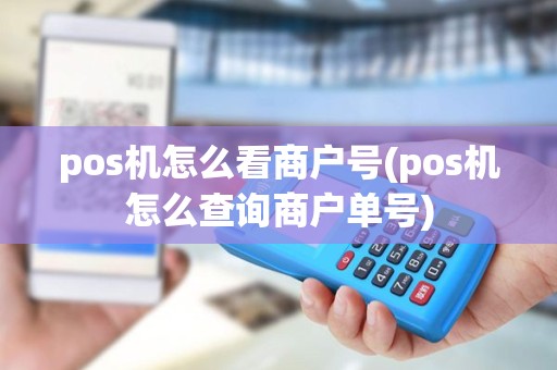 pos机怎么看商户号(pos机怎么查询商户单号)