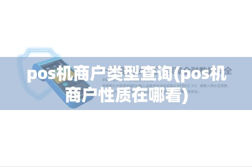 pos机商户类型查询(pos机商户性质在哪看) pos机商户类型查询(pos机商户性质在哪看)