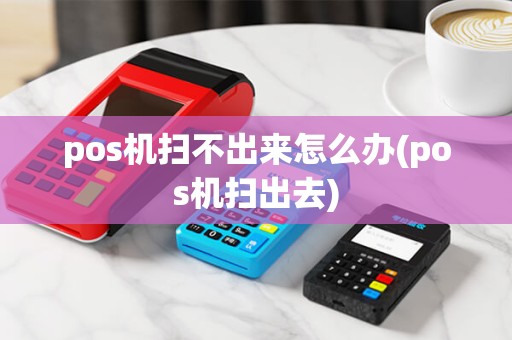 pos机扫不出来怎么办(pos机扫出去)