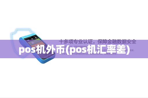 pos机外币(pos机汇率差)